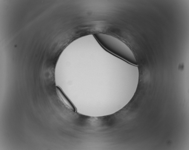 X0000112490425200909071225