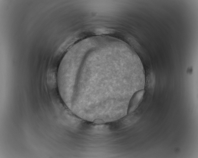 X0000112490426200909071225