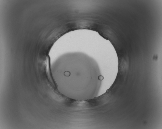 X0000112490427200909071225