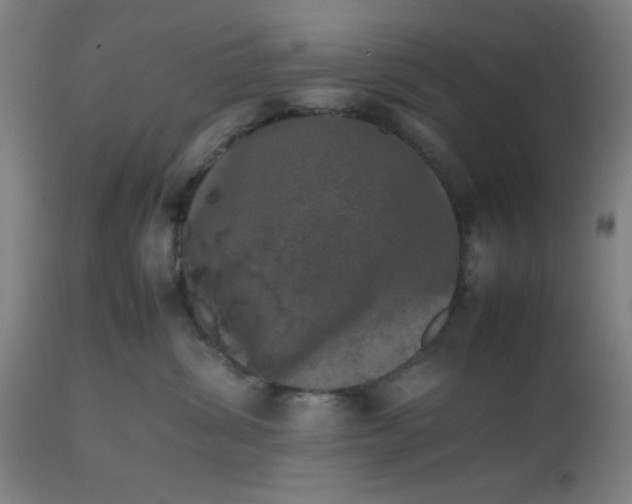 X0000112490428200909071225