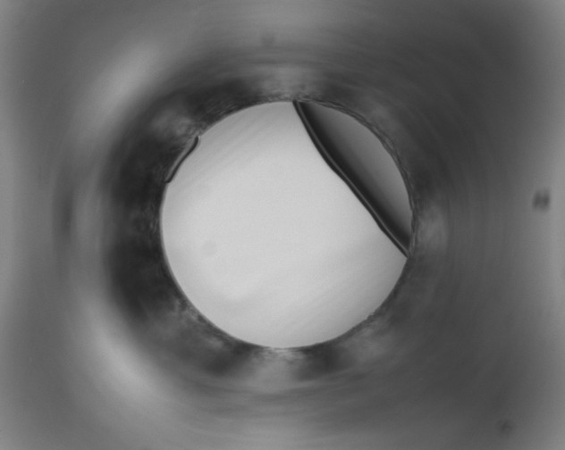 X0000112490429200909071225