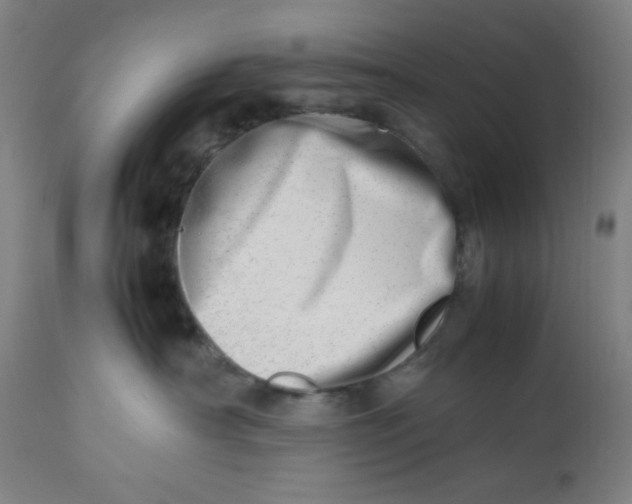 X0000112490430200909071225