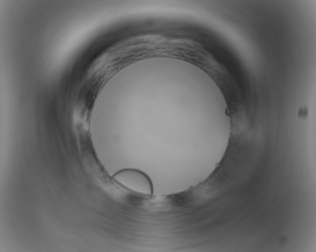 X0000112490431200909071225
