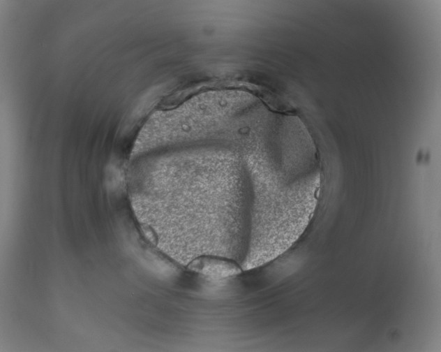 X0000112490432200909071225