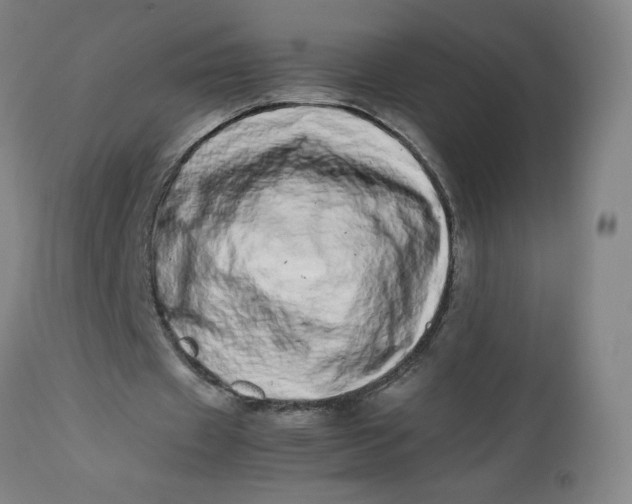 X0000112490433200909071225