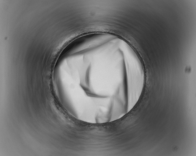 X0000112490434200909071225