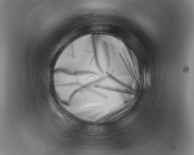 X0000112490435200909071225