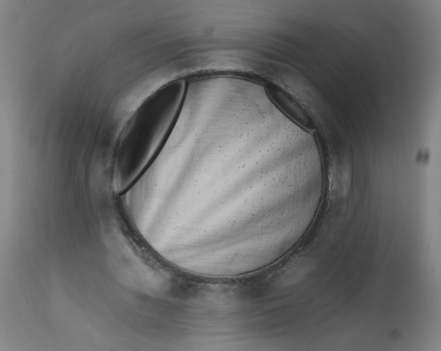 X0000112490436200909071225