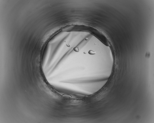 X0000112490437200909071225