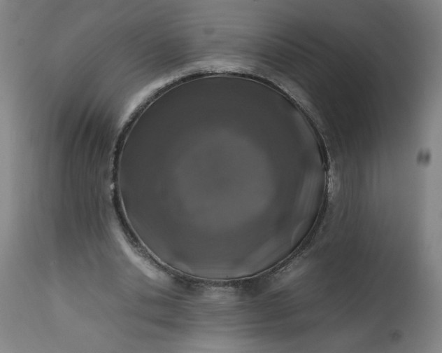X0000112490438200909071225