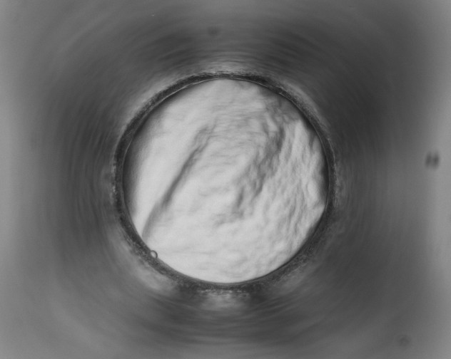 X0000112490439200909071225