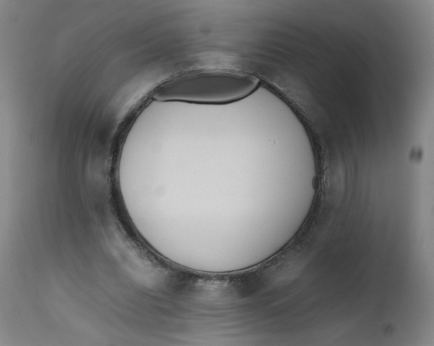 X0000112490440200909071225