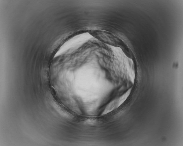 X0000112490441200909071225