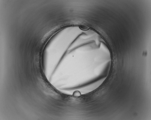 X0000112490442200909071225