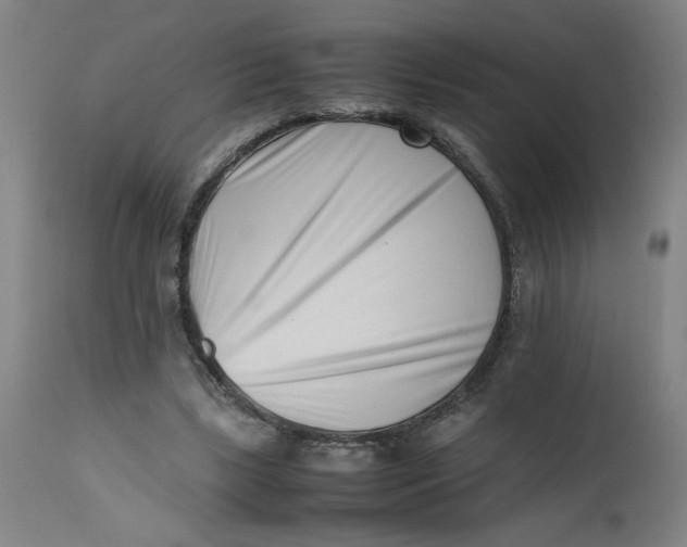 X0000112490443200909071225