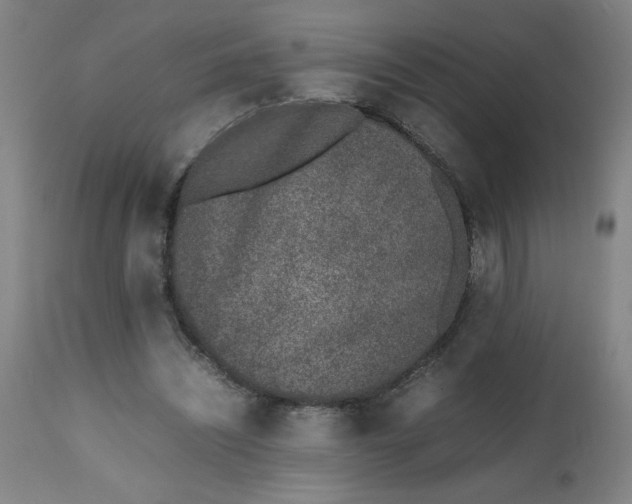 X0000112490444200909071225