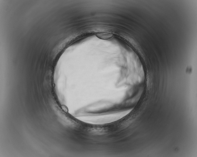 X0000112490445200909071225