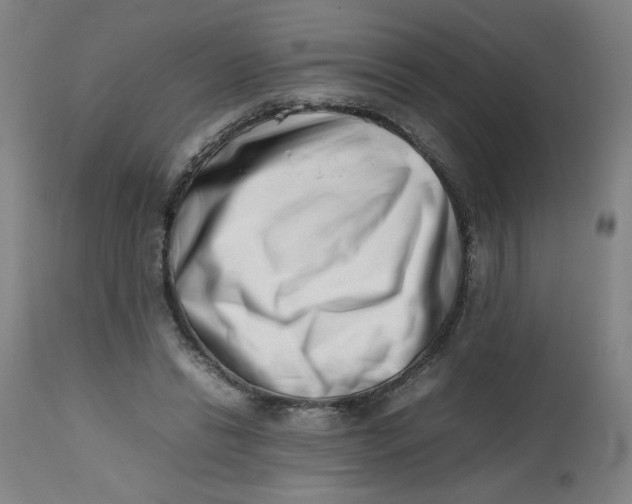 X0000112490446200909071225