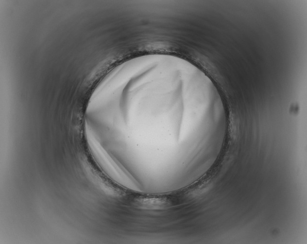 X0000112490449200909071225