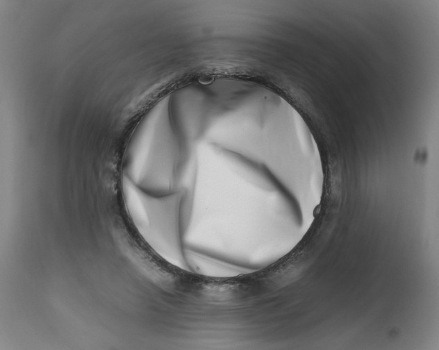 X0000112490450200909071225