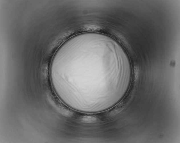 X0000112490451200909071225
