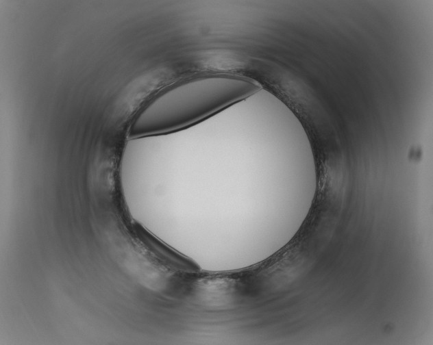 X0000112490452200909071225