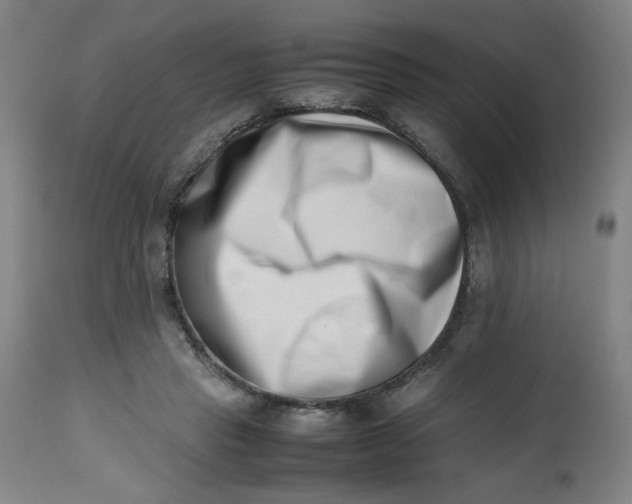 X0000112490453200909071225
