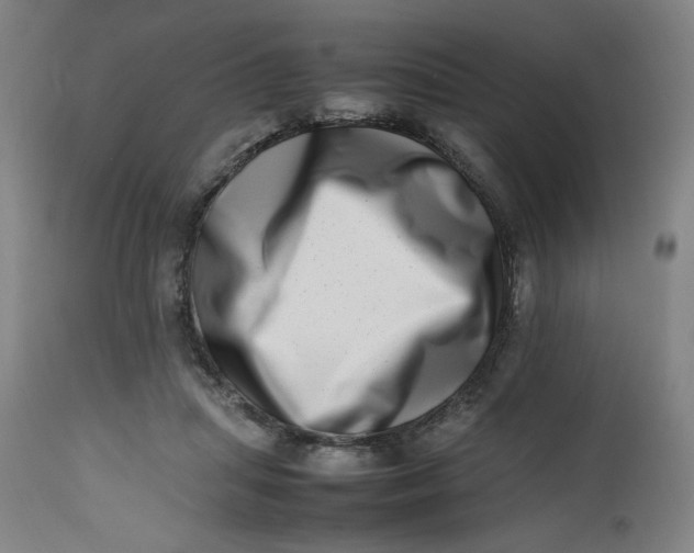 X0000112490455200909071225
