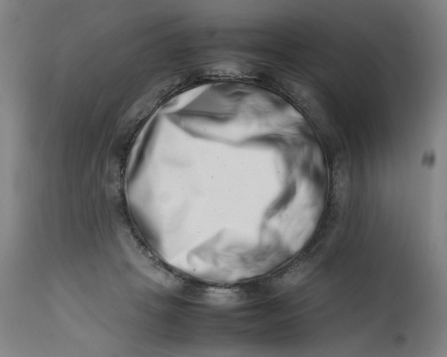 X0000112490457200909071225