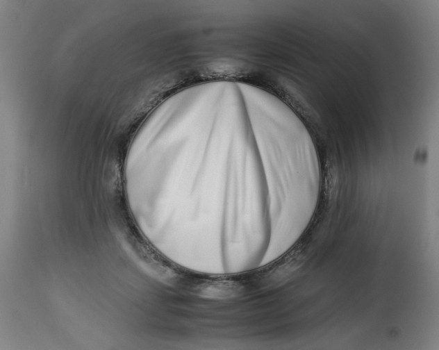 X0000112490459200909071225