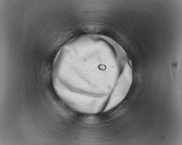 X0000112490460200909071225