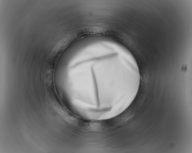 X0000112490462200909071225