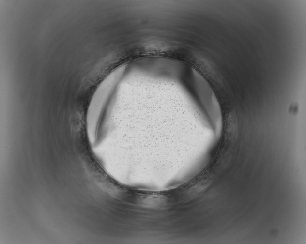 X0000112490463200909071225
