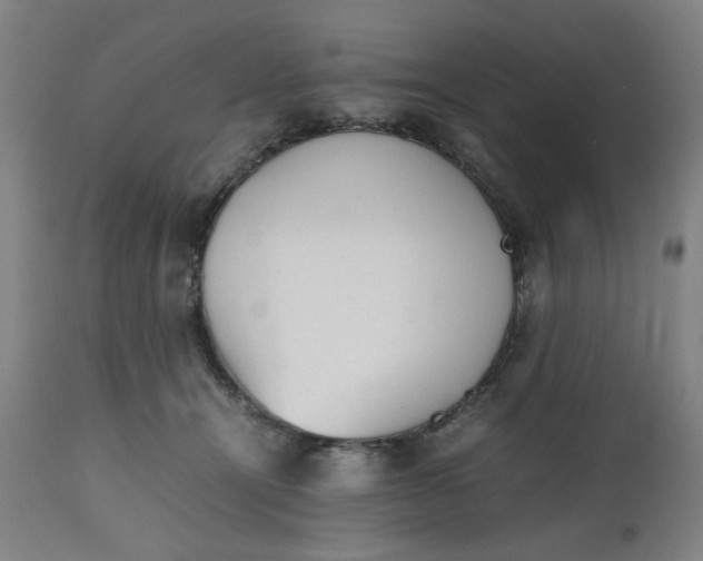 X0000112490464200909071225