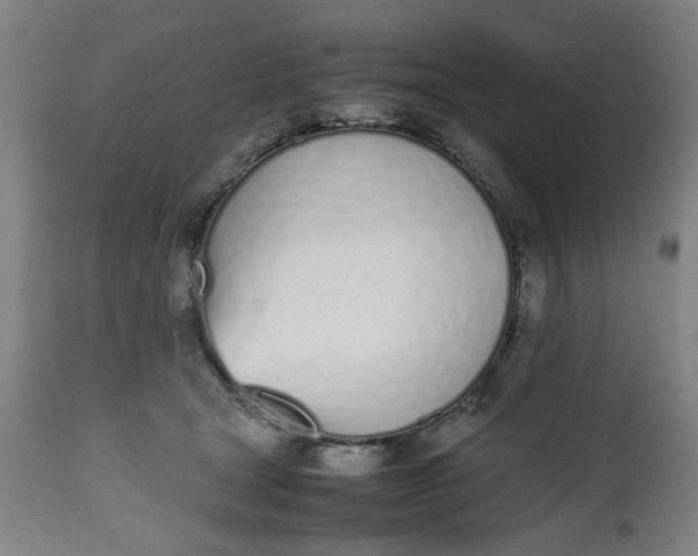 X0000112490465200909071225