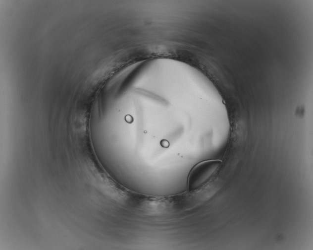 X0000112490466200909071225