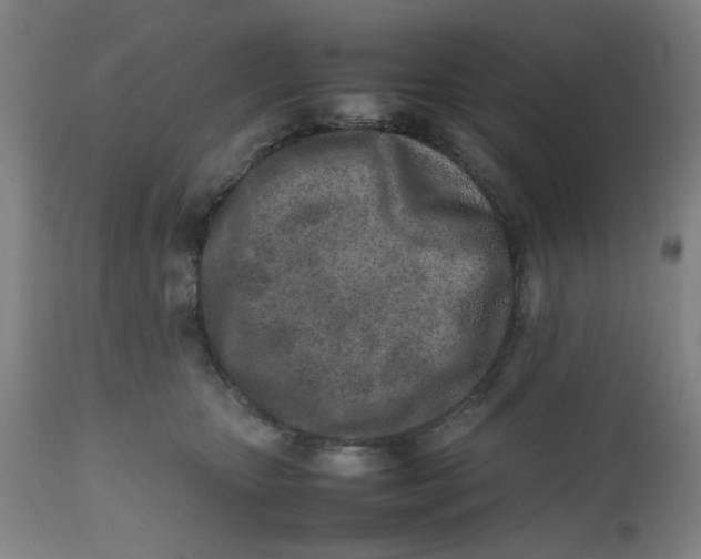 X0000112490467200909071225