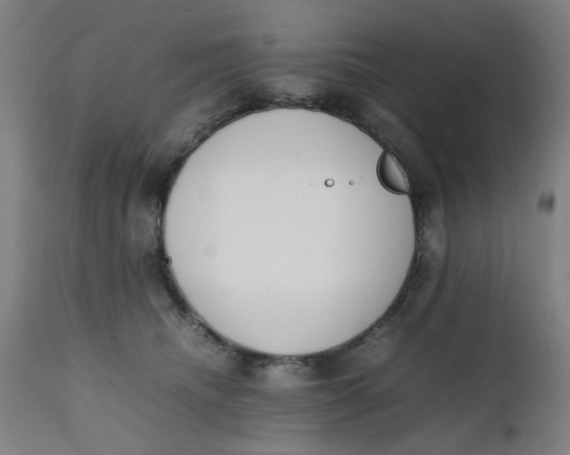 X0000112490468200909071225