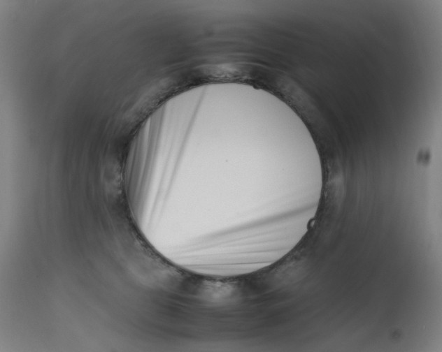 X0000112490469200909071225