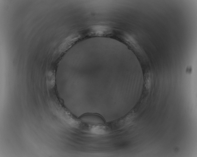 X0000112490471200909071225