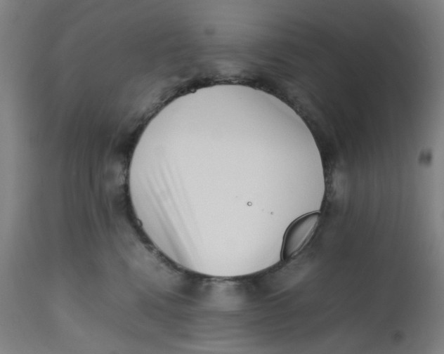 X0000112490472200909071225