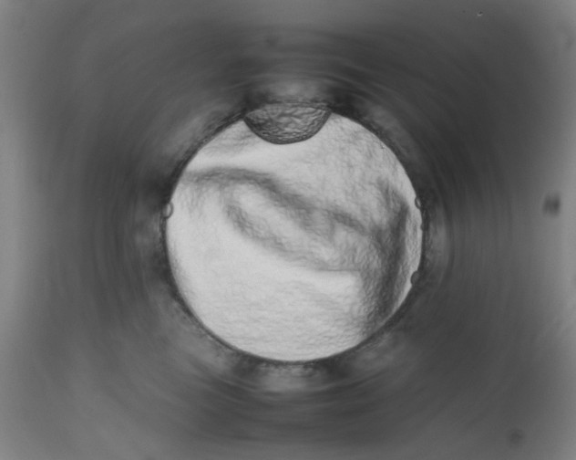 X0000112490473200909071225
