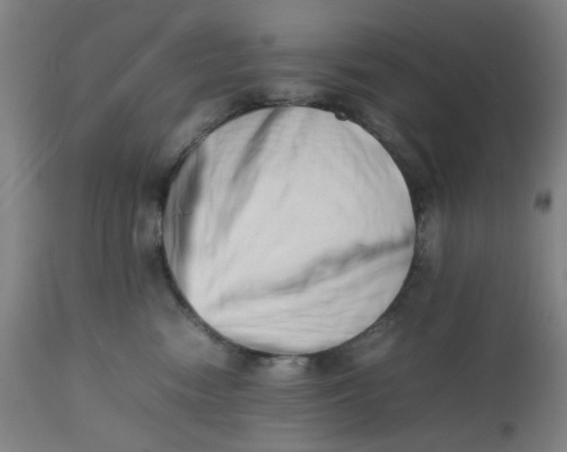 X0000112490474200909071225
