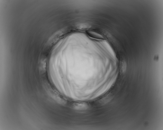 X0000112490475200909071225