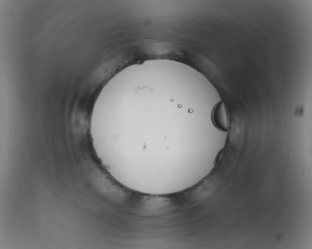X0000112490476200909071225