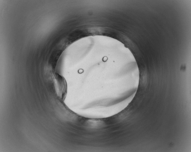 X0000112490477200909071225