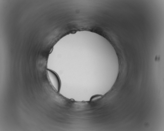 X0000112490480200909071225