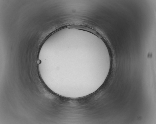 X0000112490481200909071225