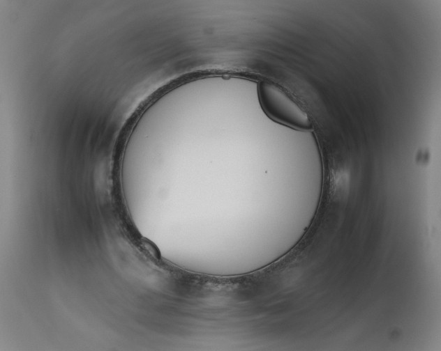 X0000112490484200909071225