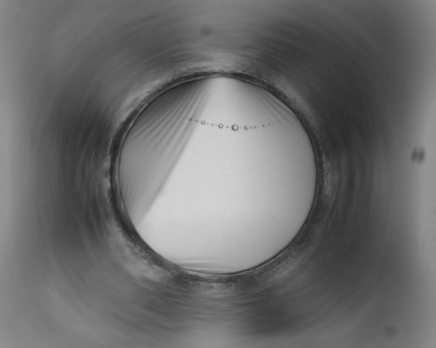 X0000112490486200909071224